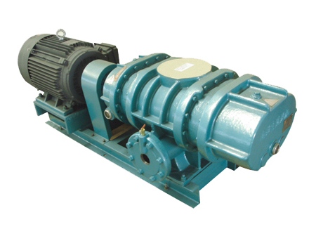 LSR125-2羅茨鼓風(fēng)機(jī)